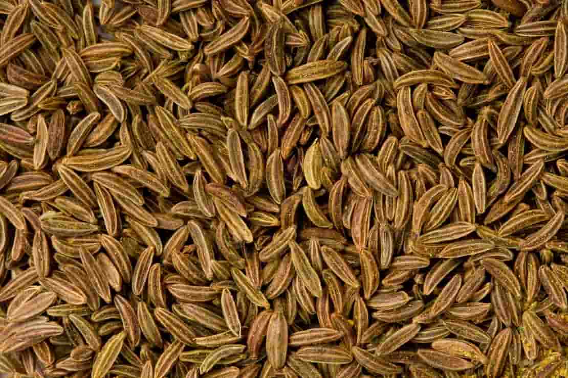 تصویر 1 از خرید زیره سبز کرمان اصلی  + قیمت فروش استثنایی
